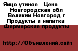 Яйцо утиное › Цена ­ 150 - Новгородская обл., Великий Новгород г. Продукты и напитки » Фермерские продукты   